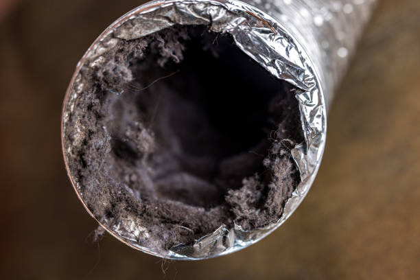 Best General Air Duct Cleaning  in La Joya, TX